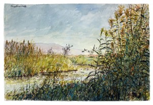 Watercolour on Paper: 15" x 22"